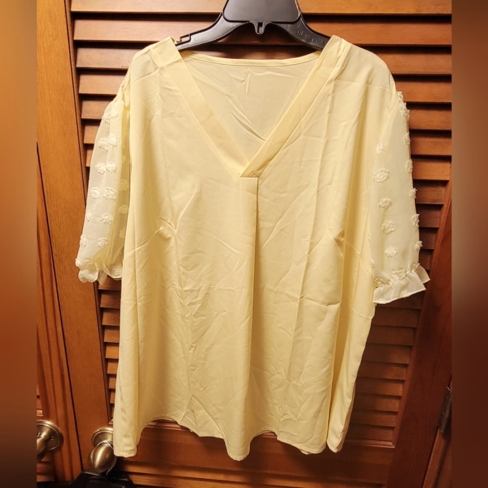 Pale Yellow V-Neck Women's Top 3x